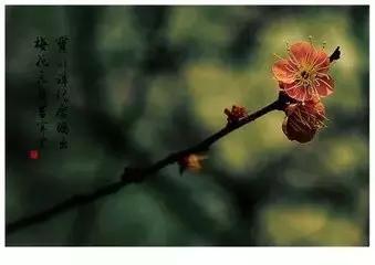 关于风花雪月的诗句,风花雪月的诗句简短又唯美