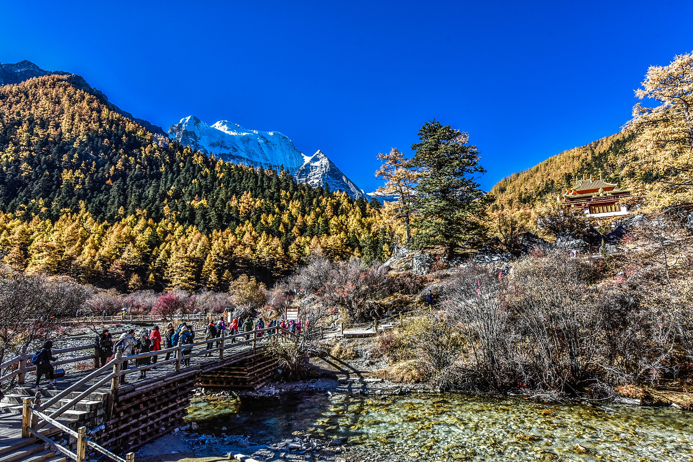 四川甘孜的亚丁稻城,四川稻城亚丁蓝色星球上的净土