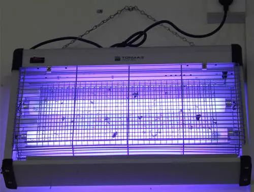 烧蚊香等于吸毒气？夏天总被蚊子咬！到底哪些灭蚊方式最靠谱