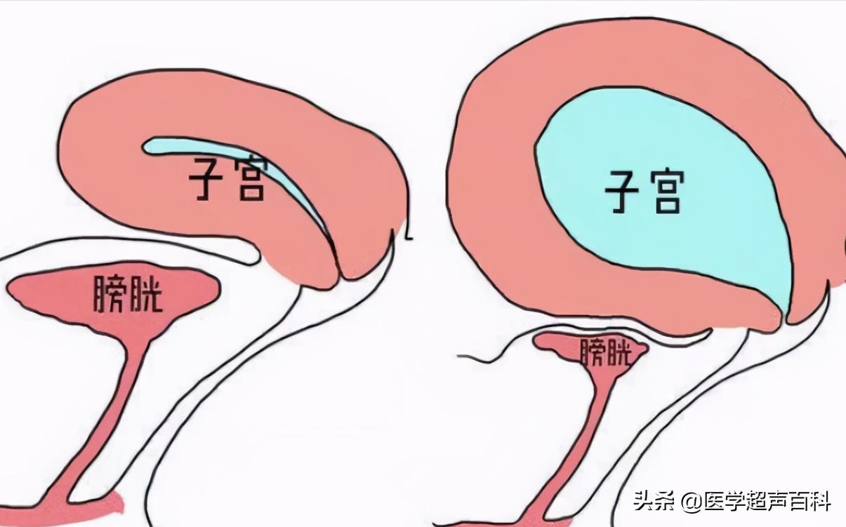 怎么样成为一名b超医生,b超医生的独白
