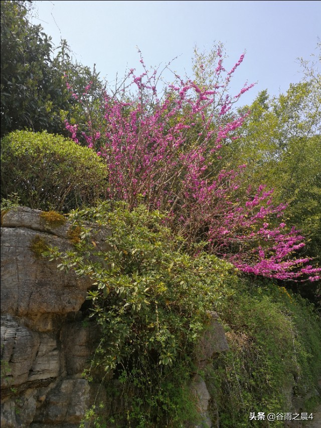 宜兴竹海徒步路线推荐,宜兴竹海最高海拔多少