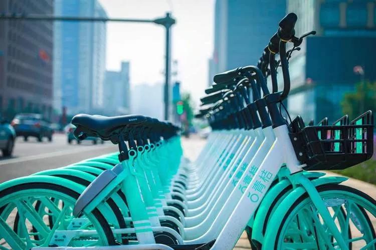 晨阳主要成就,晨阳水漆业绩