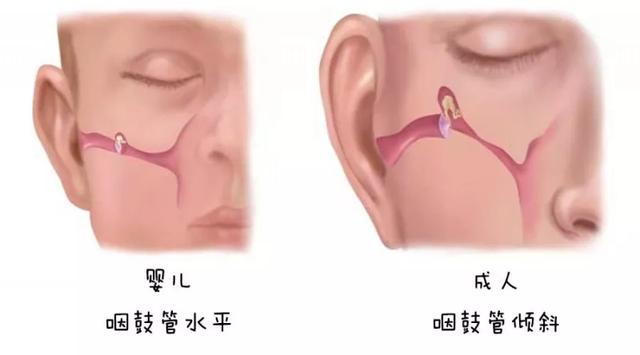 严重损伤孩子大脑的七个坏习惯,严重损伤孩子大脑的七大坏习惯