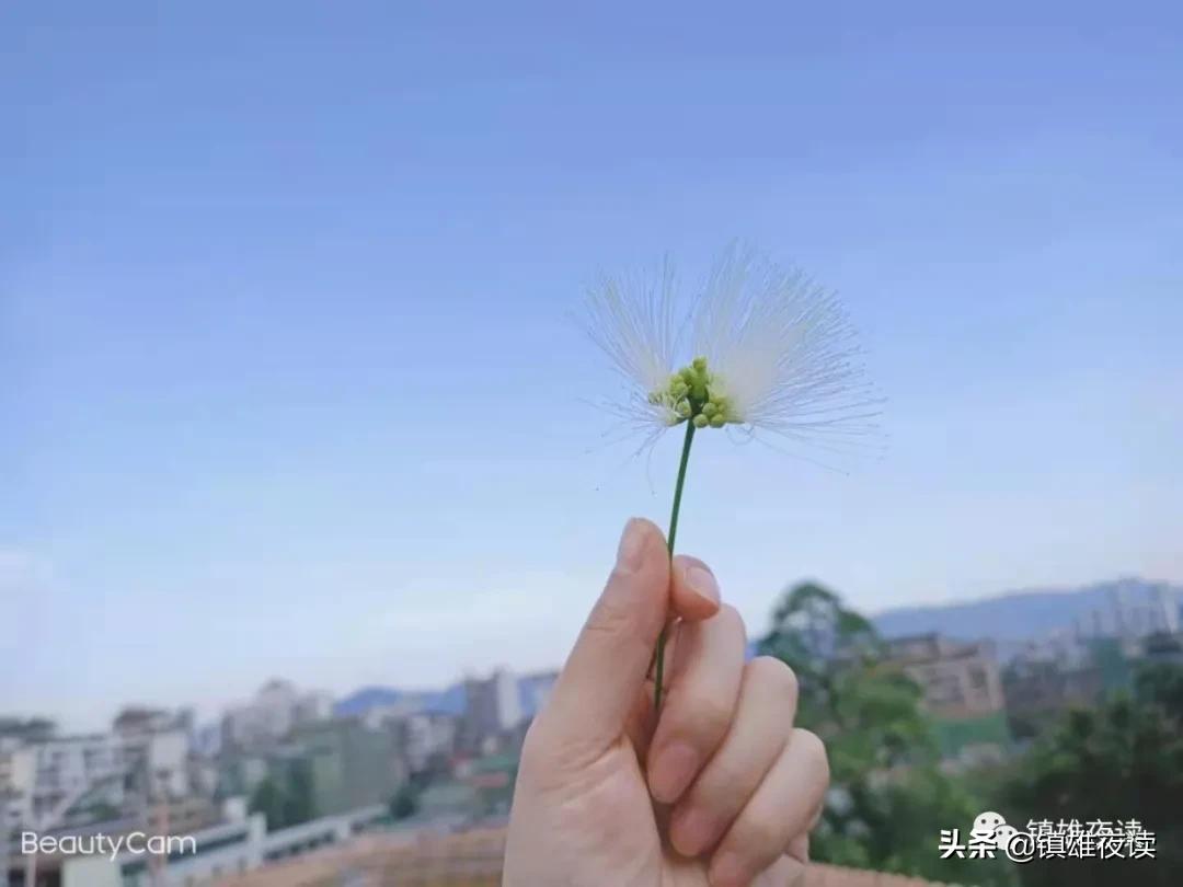 己所不欲勿施于人作文800字,己所不欲勿施于人的上一句是什么