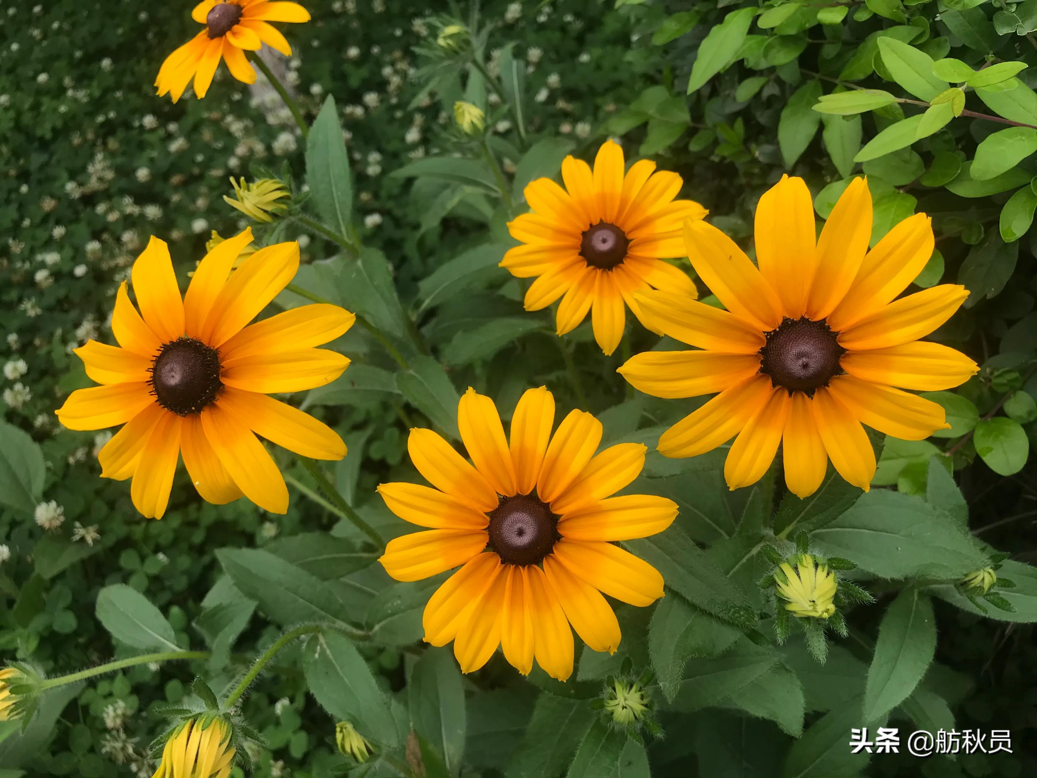 2024高考语文文言文重点字词,2021高考文言文必背高频词汇