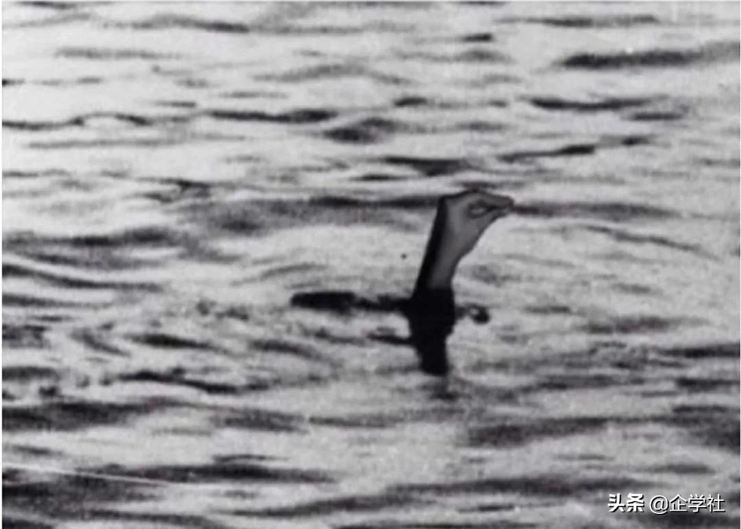 不愧是意大利人,不愧是日语罗马音