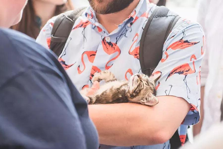 致每一位爱宠人,请了解下困难重重的TNR