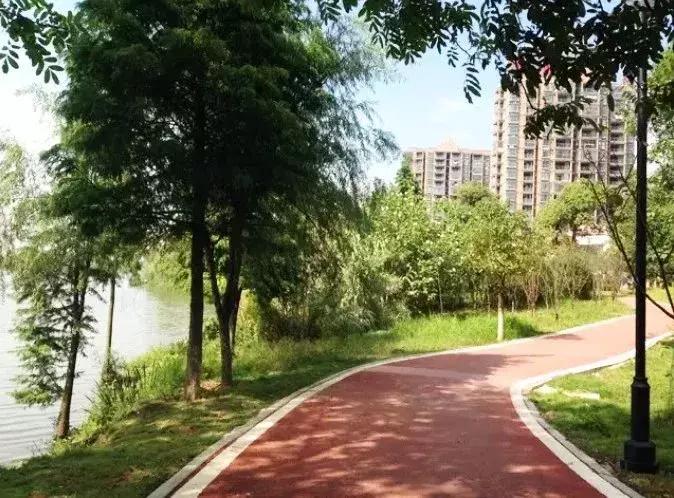 南昌将新增115公里绿道,拓展城市绿道建设