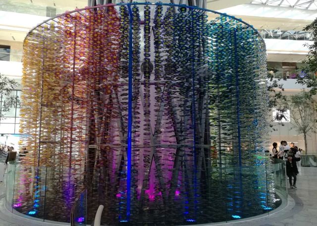 老上海的卢湾区,老上海人回忆卢湾区