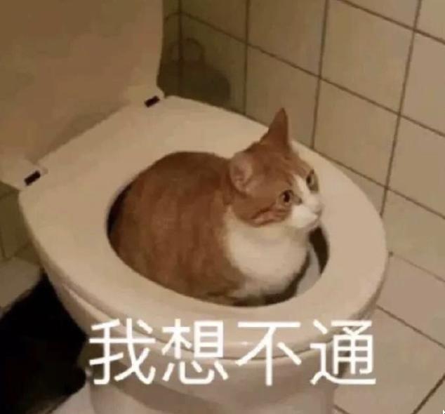 “我堂堂宾大毕业高材生,回国后竟然天天做Excel表”