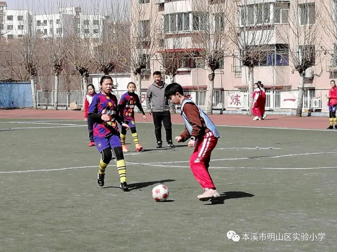 本溪市溪湖区小学生足球联赛,本溪市小学足球联赛视频