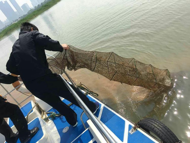 鱼也不能捕了？这三种捕鱼行为均不合规，有人已受罚，农民要注意