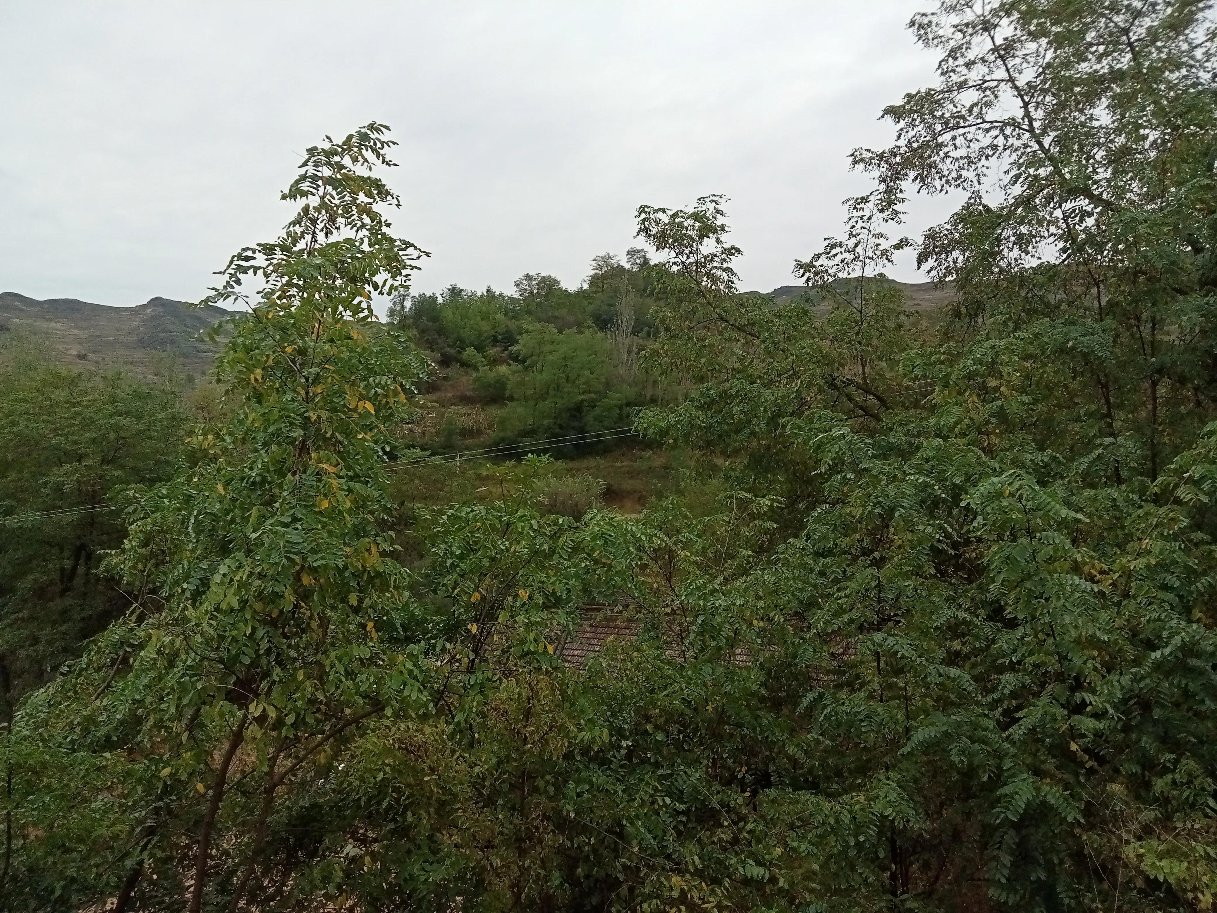 乡情散文/故乡的古井