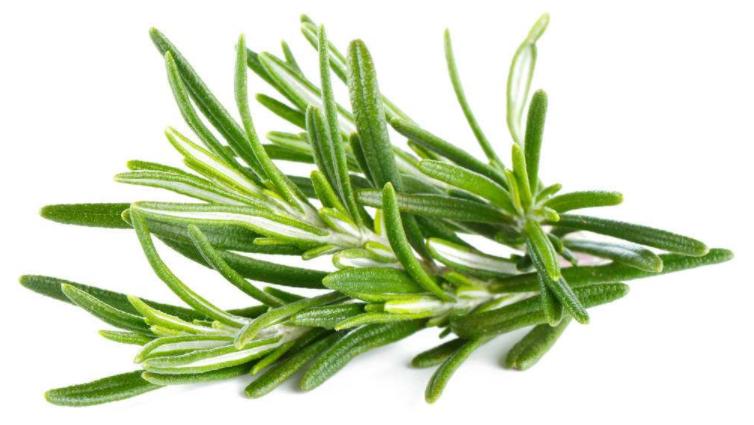 这两物是黑头收割机，揉一揉，搓一搓，黑头不见啦，才几块钱