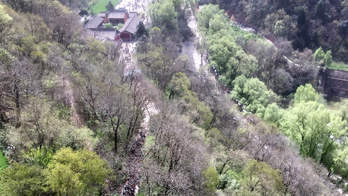 天水麦积山石窟是四大石窟吗,中国四大石窟麦积山风景区
