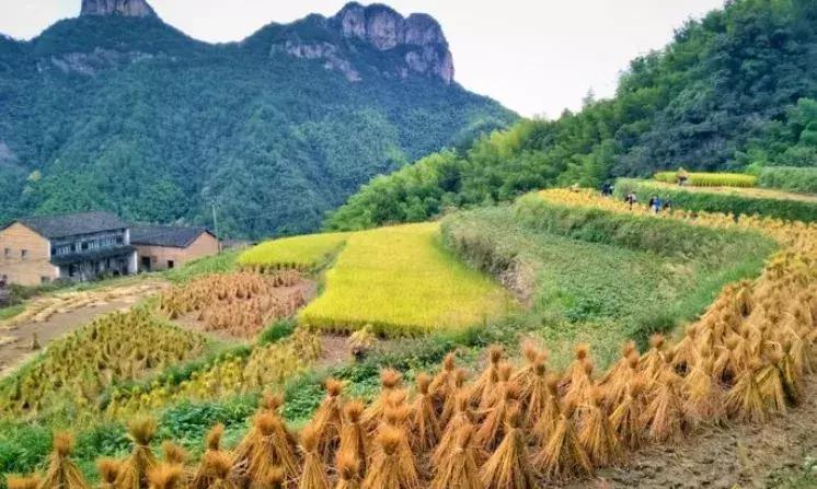 公盂山香格里拉,江南香格里拉公盂村