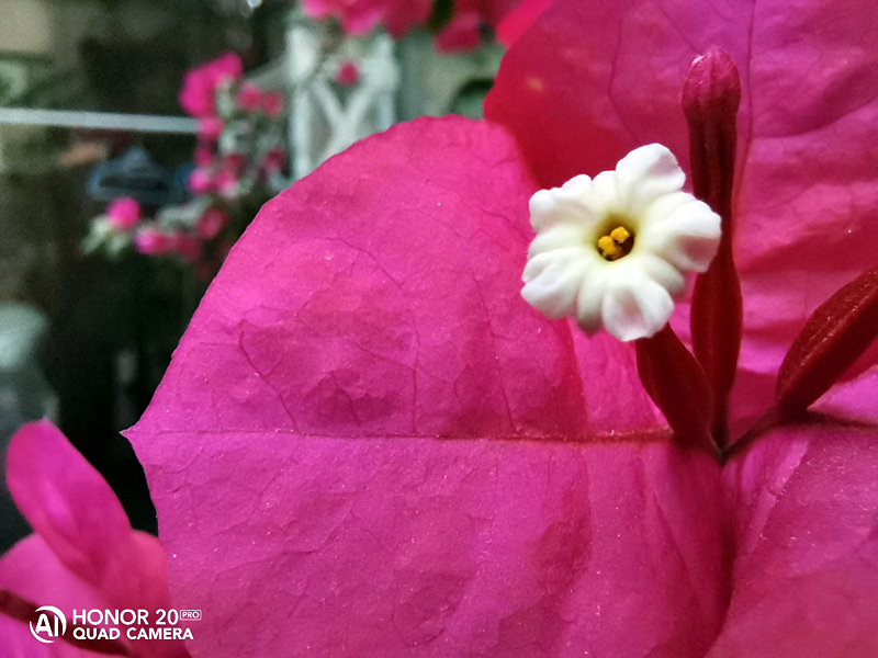 荣耀20pro拍照夜拍对比,荣耀20pro什么时候拍照最好