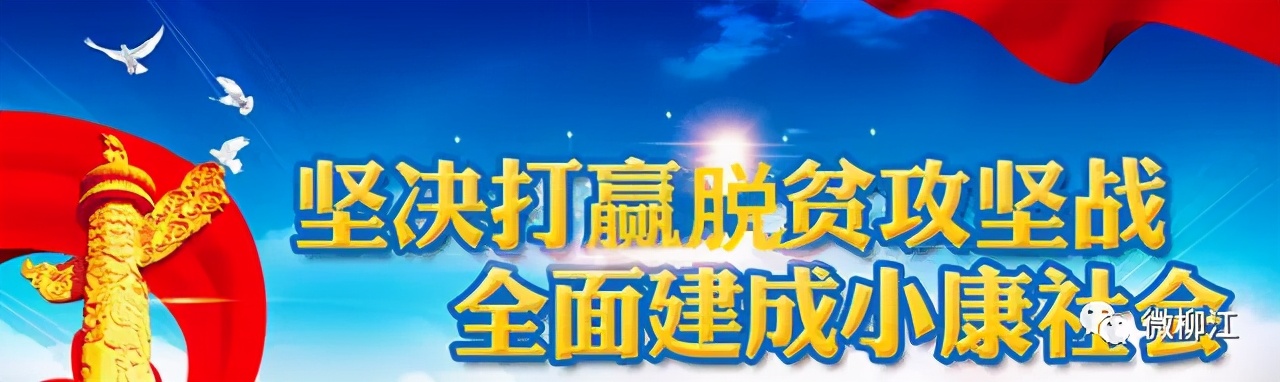 预备，跑！看柳江少年驰骋运动赛场