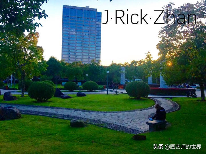 怎样种植草坪技术,果岭草坪的种植养护方法及技巧