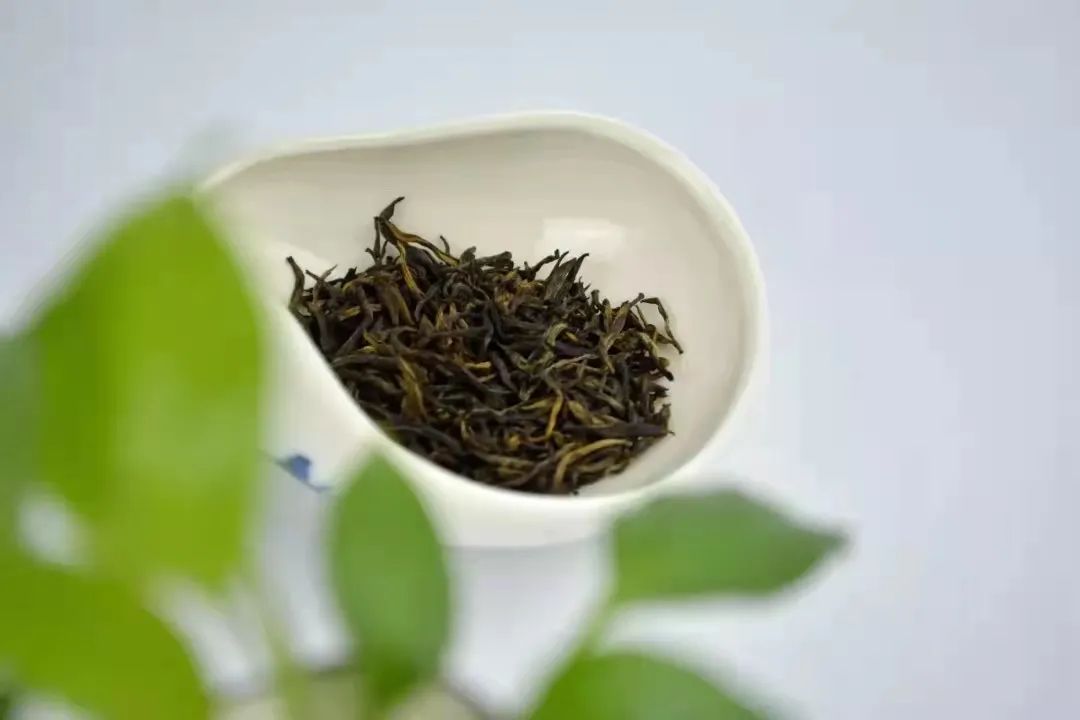 金骏眉深受大家喜爱的原因,真正的金骏眉是这样的