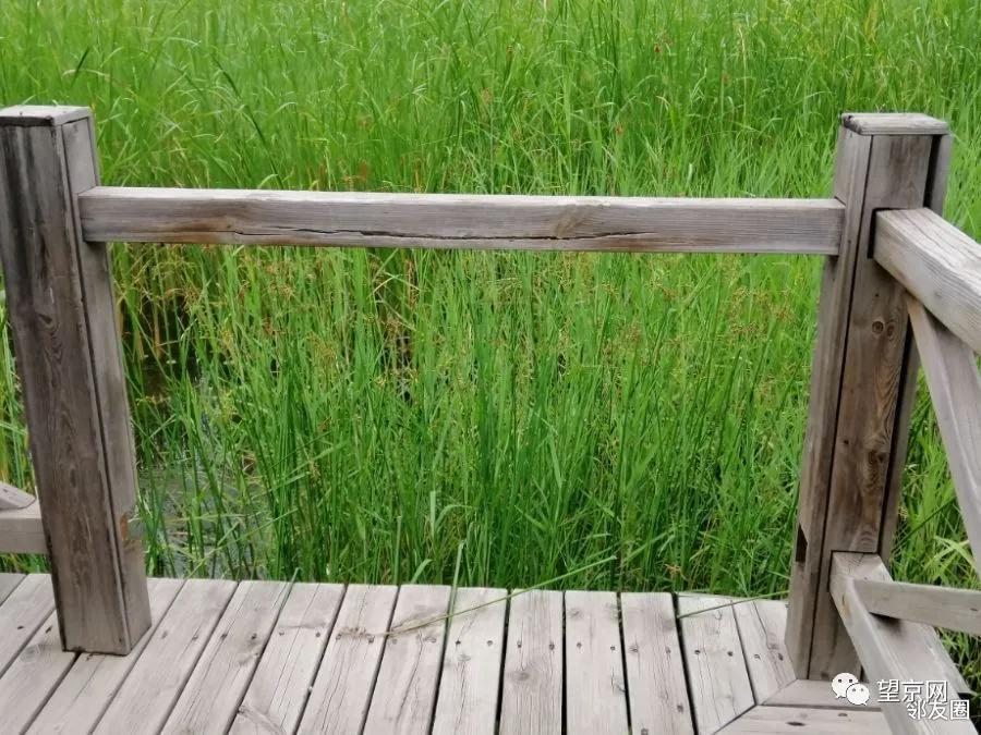 「今日望京」望湖公园这里太危险！望京小街最新实拍来了