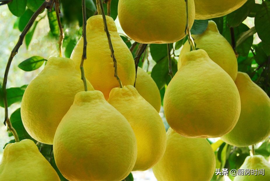 为什么柚子有苦又甜,买的红心柚子又苦又酸