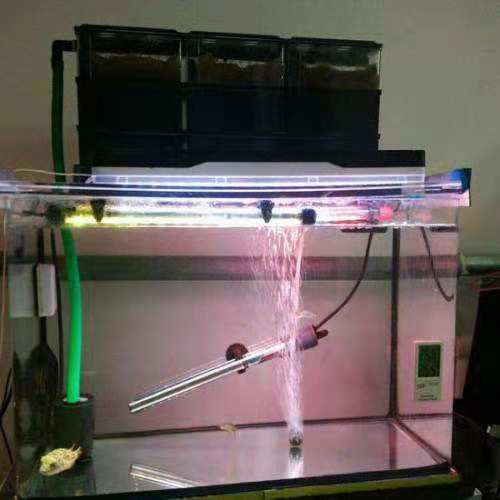 鱼缸一天添加多少次硝化细菌,鱼缸中加入硝化细菌有必要吗