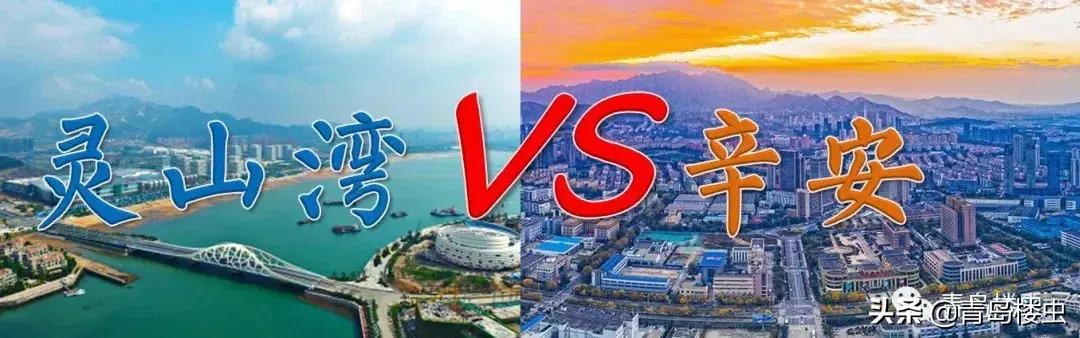 西海岸2024年房价预测,西海岸哪个区域房价最好