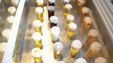 大良自助冰室,顺德第一家自助冰室