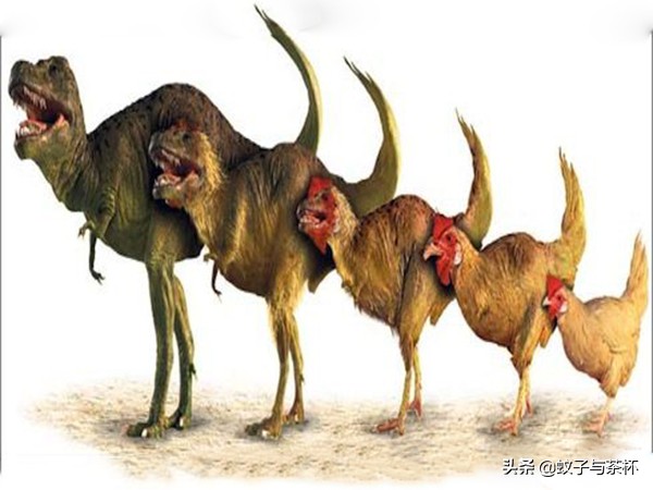 恐鸡症是精神疾病吗,恐鸡症可以治愈么