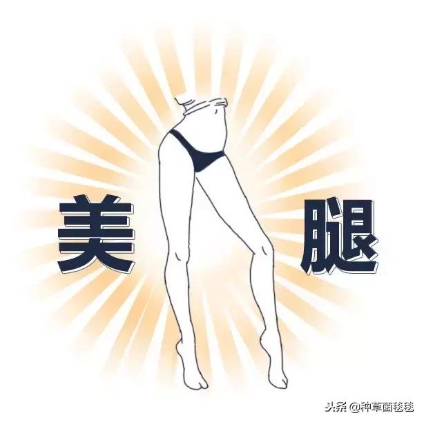 如何才能有一双长腿,如何拥有长腿