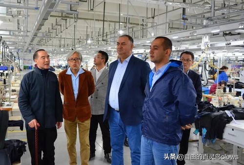 向炳伟经历,向炳伟简介