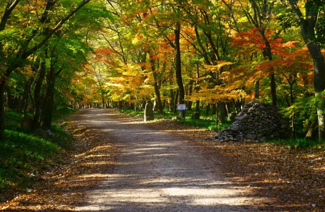 还没想好国庆去哪？自驾2.5小时，在秋日里泡温泉吃美食