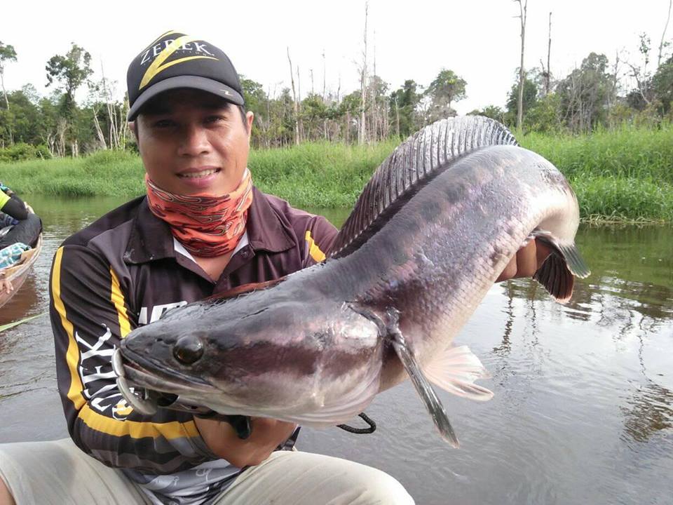 铁血战士打黑武士,铁血战士打特种兵