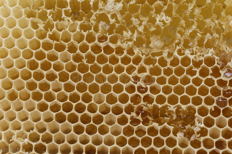 “黄体酮”女性缺少它，5种后果也会随之而来