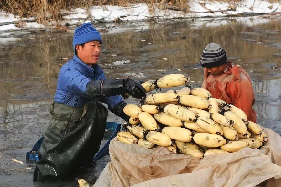 哪些小生意看似不起眼却很赚钱,有哪些不起眼但很能赚钱的职业