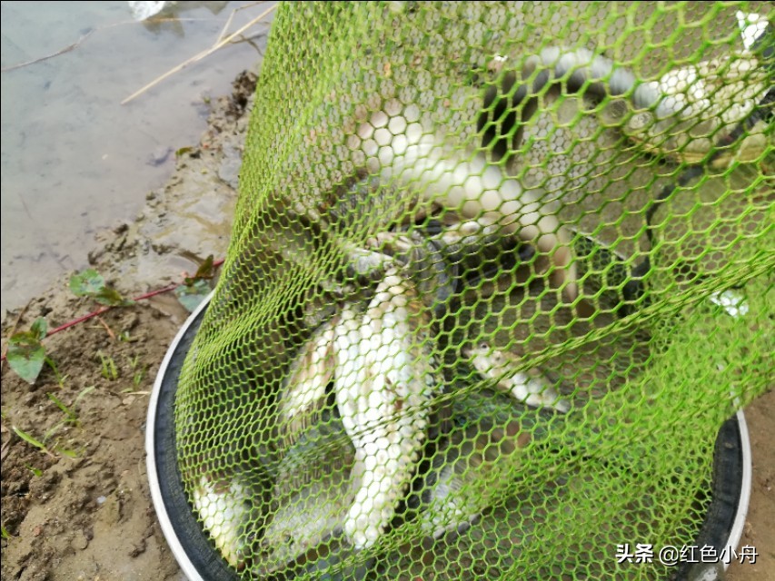 为什么四月份晚上不好钓鱼,4月份夜钓的最佳时间和方法