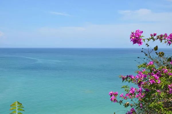 2019年,您需要拥有的“在线储藏室”!