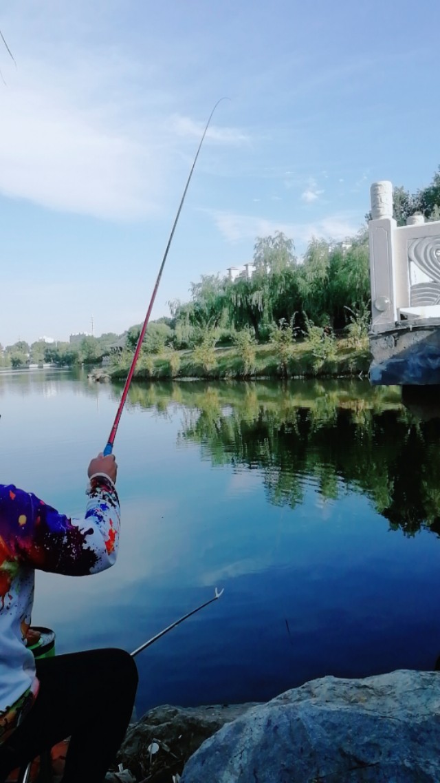 浮漂有口打不到鱼,鱼吃饵浮漂信号不明显怎么办