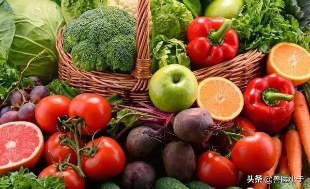 农村2023年致富项目小本生意,农村致富创业项目小本生意投资