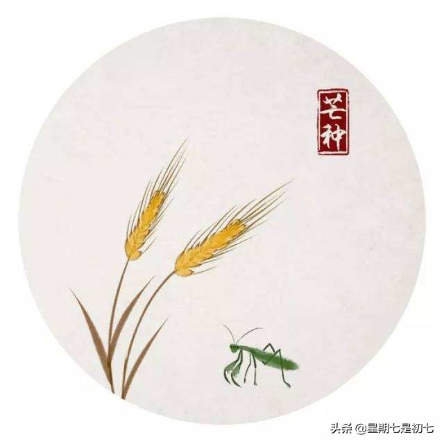 二十四节气老祖宗留下的智慧,老祖宗发明的二十四节气