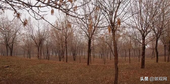 自然生态休闲公园设计案例,十大城市公园景观设计案例