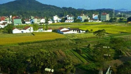 国有土地使用证可以继承更名吗,96年集体土地使用证能不能更名