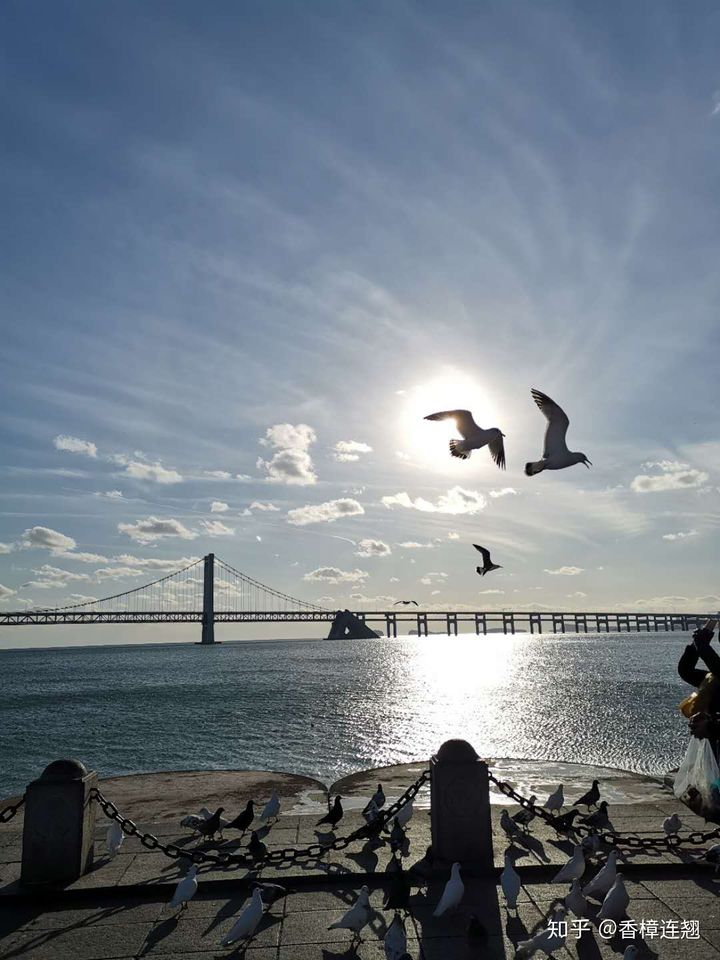 在大连的感受和生活,在大连生活怎么样