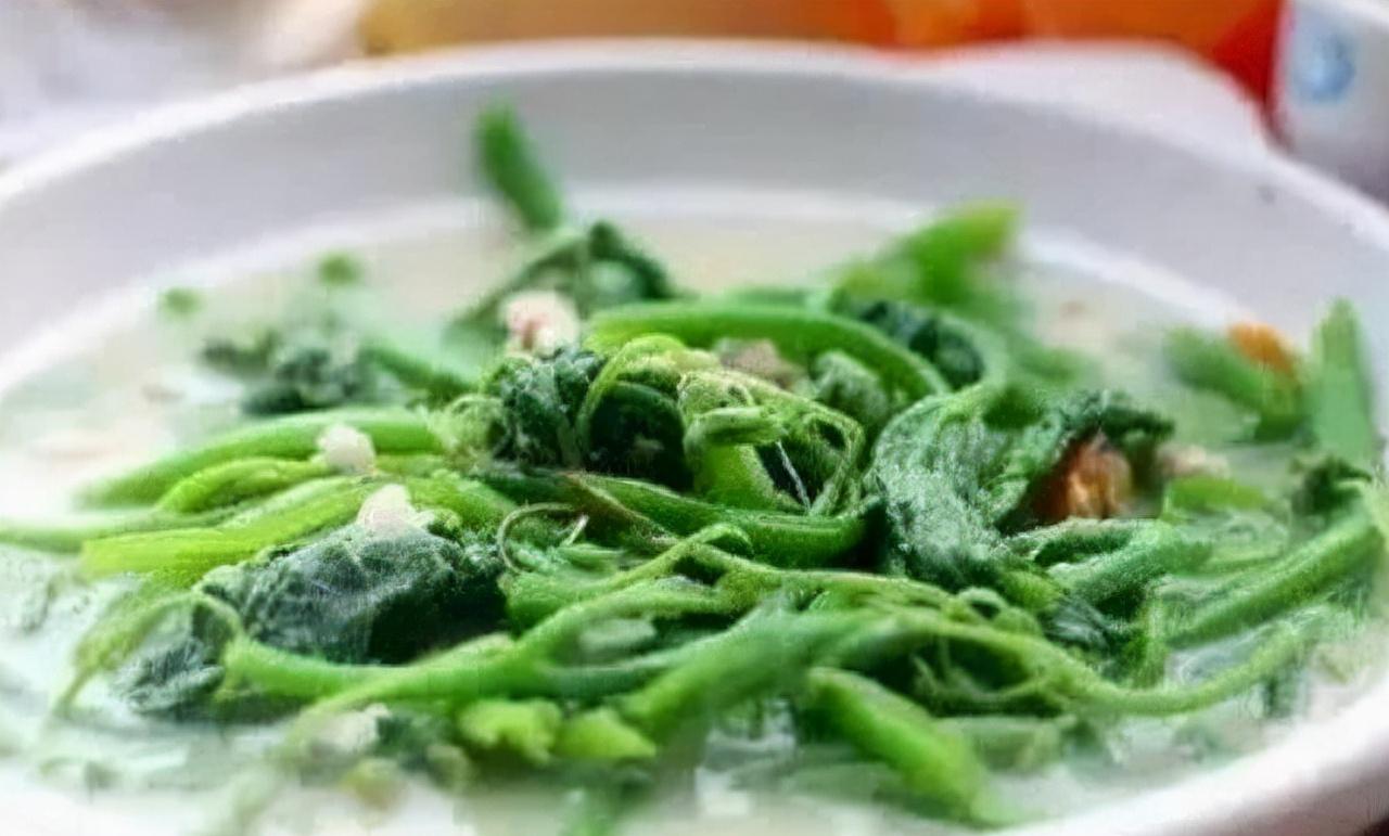 经常食南瓜藤对身体有什么好处,南瓜藤喂猪的危害有多大