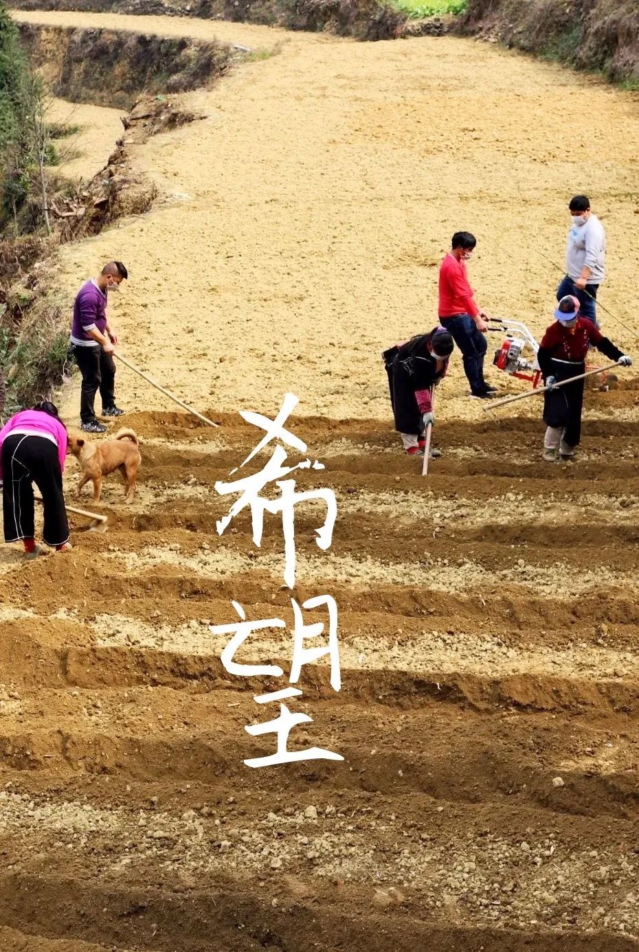 只要机器热起来，就有希望！