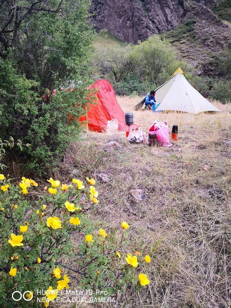 天狼之路是否值得一走,传说中的天狼