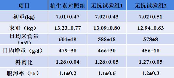 内外兼修方可行稳致远,正大康地饲料和天津正大哪个好