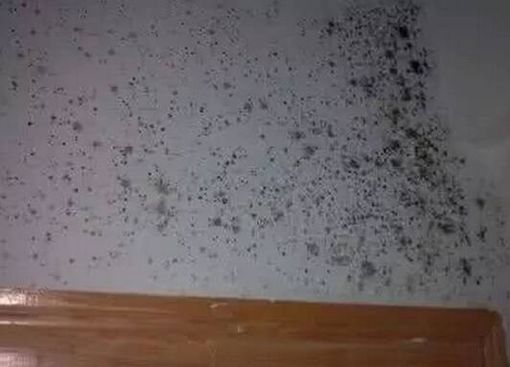 如何解决地下室发霉问题,地下室发霉条件