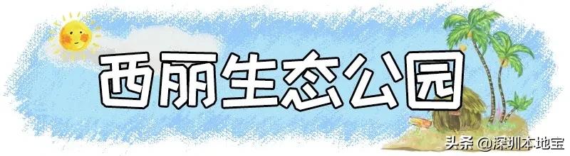 深圳有哪些地方免费景点,深圳都有什么景点免费游玩